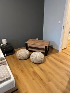 Private Riverside Apartment Brno