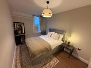 West Greenwich Modern Apartment