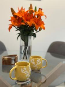 Over the Moon - CBD 2bdm 2bath Townhouse on Gloucester St