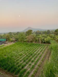 Fulgulab Lawns and Home Stay