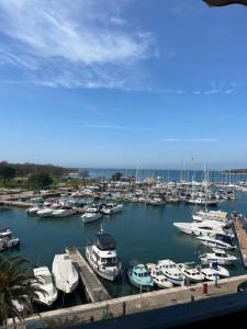 Apartment Dubravka III