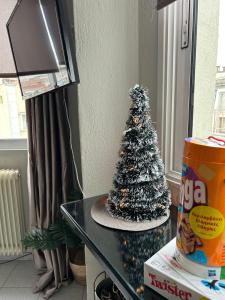 Amaryllis apartment 23