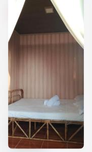 Seabreeze Beachfront Home and Cottages new management