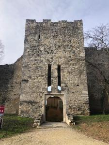 La CIGALE - Centre ville Montélimar