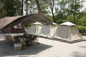 Birdhill Beach - Sea View Glamping Accommodation l Up to 80 Pax l Team Building Friendly