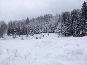 Apartament między Strumykami