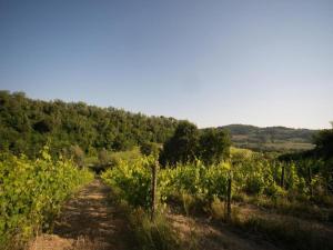 Cosy holiday home in Tuscany with shared swimming pool