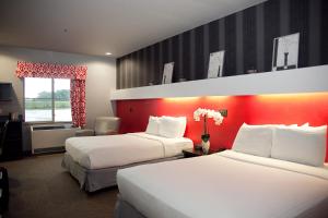 Queen Studio with Two Queen Beds - Disability Access/Non-Smoking room in Metropolis Resort - Eau Claire