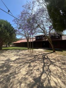 Casa Duarte Carcavelos Beach