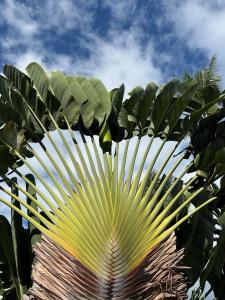 Alii Villas #232 condo