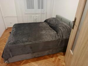 Apartament do wynajęcia