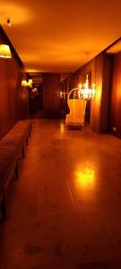 Golden Goose Apartment