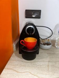 Olive & Orange Modern Studio