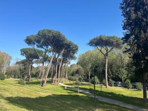 Appartamento Montesacro Roma