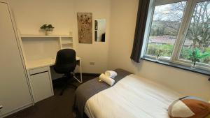 Six Bedroom House on Southmead road