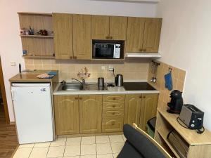 Apartmán Horní Mísečky