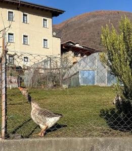 Corte Righi - Modernità con vista a Bianzone