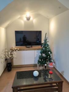 Casa Piazza Garibaldi