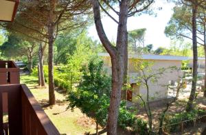 Spacious and bright flat near the beach