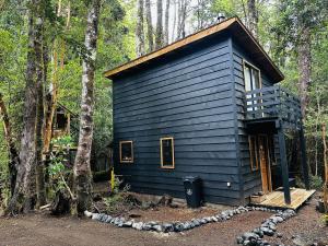 Bosque nativo a 10 min Termas Geométricas y Playa