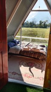 Western View Chiangdao Camping