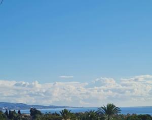 Puerto Banus Marbella Large Duplex 3BE 4BA