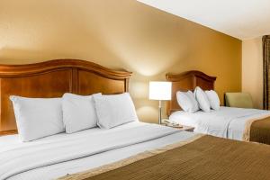 Queen Room with Two Queen Beds - Smoking room in Rodeway Inn Knoxville