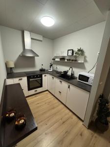 Downtown Akureyri Studio