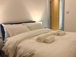 Bright 2-bed Apartment York City Centre - Walk to Everything