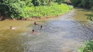 Bodhi Nature Camping - Sakaleshpura