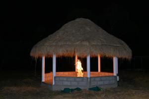 Bodhi Nature Camping - Sakaleshpura
