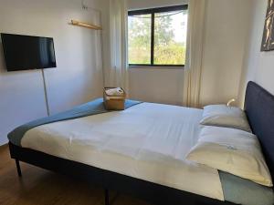 Blife Ampalya private rooms