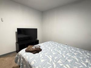 Cozy apartment close to stadiums and entertainment district