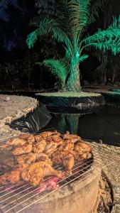 Amazing Mountain Camping, Bar&Grill