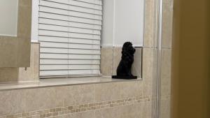 Secure City Centre Contractor Stays with Free Parking & Wi-Fi