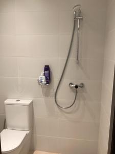 Apartament pod Papugą