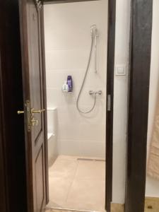 Apartament pod Papugą