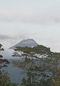 Selvático Costa Rica