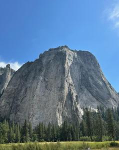 Tiny Blue at Yosemite Gateway