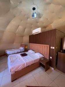 NOVA lUXURY CAMP
