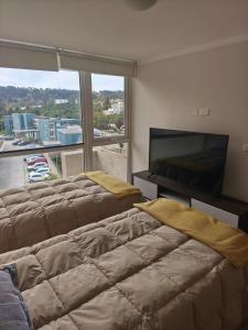 Departamento Reñaca Bajo