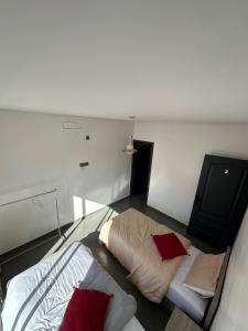 Wavera Surf Camp