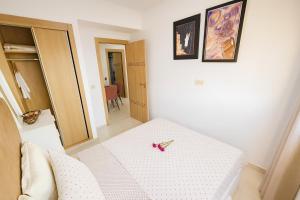 Vue Piscine Idéal pour Supporters Transfert