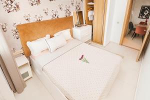 Vue Piscine Idéal pour Supporters Transfert