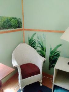 The Farmhouse Palm Tree Cabin