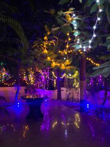 Seaside Serinityy Luxury