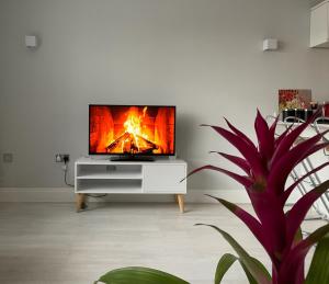 Amazing Flat in Central London