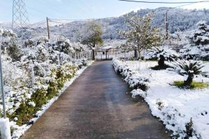Παραδοσιακό σπίτι με τζάκι