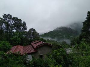 Silent Valley- Alchauna along river Kalsa