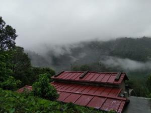 Silent Valley- Alchauna along river Kalsa